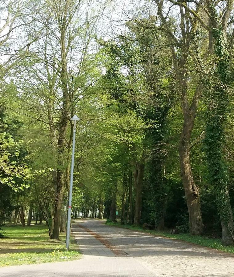 Ferienwohnung "Am Schlosspark" Neetzow Εξωτερικό φωτογραφία
